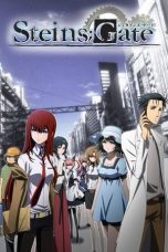 Steins;Gate (2011) Steins;Gate (2011)