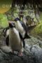 Nonton Film Our Planet Season 2 (2023) Nonton Film Our Planet Season 2 (2023)
